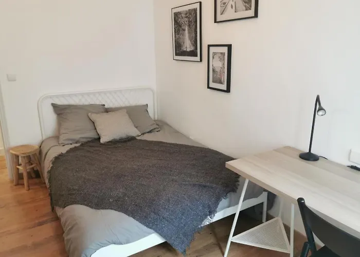 Santocha : Appartement En Plein Coeur De Ville !